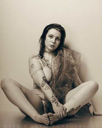 Kitty 7