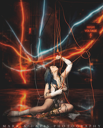 Kitty Wires3