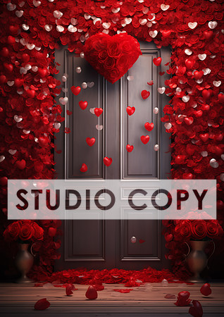 kittycattascha_valentine_backdrop_photo_props_empty_door_ank_wi_5dcf1bac-bd55-4a2d-a49f-6073b90a0d9d