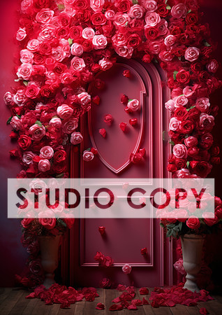 kittycattascha_valentine_backdrop_photo_props_empty_door_ank_wi_662b38ca-97d9-401d-8294-1a2ca4507633