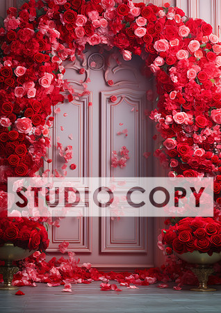 kittycattascha_valentine_backdrop_photo_props_empty_door_ank_wi_a7e9be77-793d-44f5-a34b-08b0eea4af31