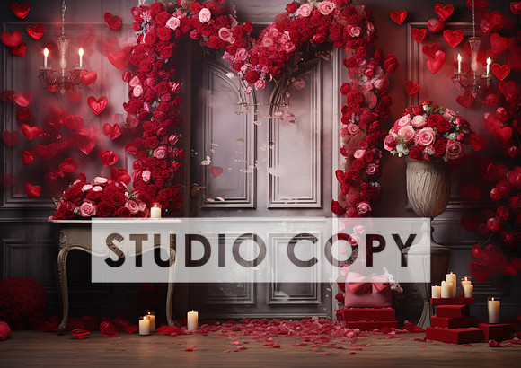 kittycattascha_valentine_backdrop_photo_props_empty_door_ank_wi_b64282c6-c04f-46a7-99fd-40b44cc77bd0