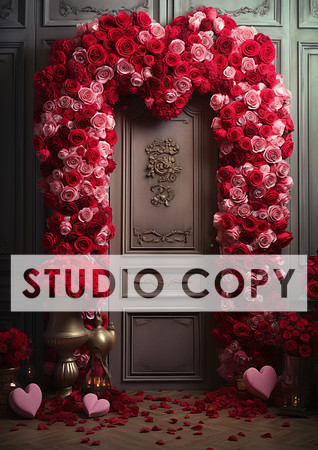 kittycattascha_valentine_backdrop_photo_props_empty_door_ank_wi_c0f4e5b5-ffba-4a9a-b9e8-961306d79ac8