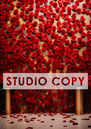 kittycattascha_valentine_backdrop_photo_props_empty_flower_wall_09c09f58-b08b-4152-bba1-1e61865d5dec