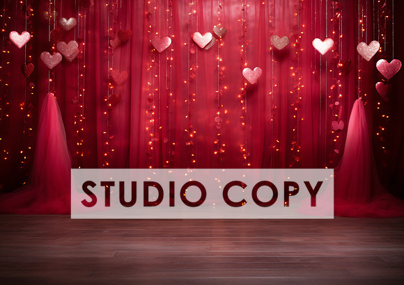 kittycattascha_valentine_backdrop_photo_props_empty_no_furnitur_6b327715-c52e-4eba-b8c2-4f4a323aefe4