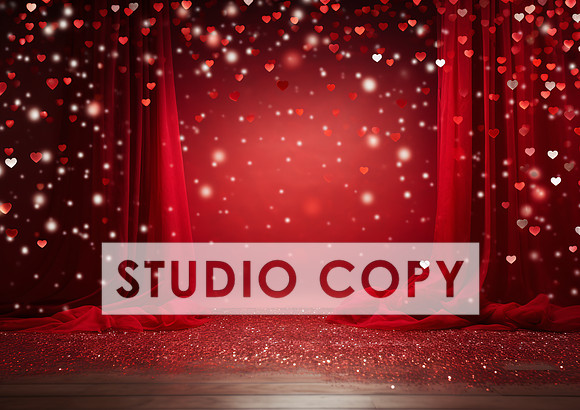 kittycattascha_valentine_backdrop_photo_props_empty_no_furnitur_92325467-8af4-4317-bf91-1f08a4c38ba3