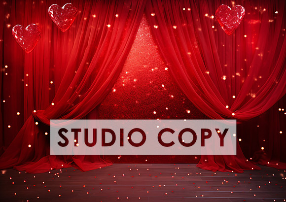 kittycattascha_valentine_backdrop_photo_props_empty_no_furnitur_cf12cd22-057a-4b7e-8a76-3d2bcc551d4c
