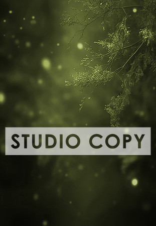 Floral Texture-10