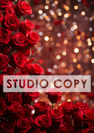 kittycattascha_valentine_backdrop_photo_props_empty_flower_wall_be05dcd8-5092-4ed5-a6b9-ecbc60272457