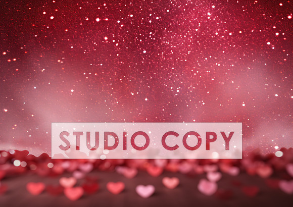 kittycattascha_valentine_backdrop_photo_props_empty_no_furnitur_c2f0d3be-f44c-43b4-97ff-34c375cbed3f