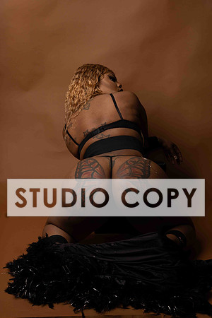 321A8531
